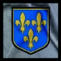 XTECH II NOIR PREVOTALE Impression Logo Régions : ILE de FRANCE